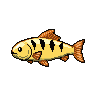 legendarycatch 2959 sergeant major