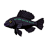 legendarycatch 2972 jack dempsey