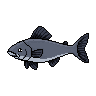legendarycatch 2973 freshwater drum