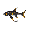 legendarycatch 2987 moorish idol