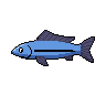 legendarycatch 2998 cleaner wrasse