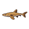 legendarycatch 3000 angel shark