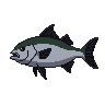 legendarycatch 3002 permit