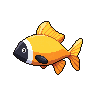 legendarycatch 3003 foxface rabbitfish