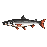 legendarycatch 3004 halfbeak