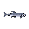 legendarycatch 3010 channel catfish