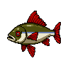legendarycatch 3015 mutton snapper