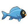 legendarycatch 3021 powder blue tang