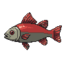legendarycatch 3022 mangrove snapper