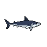 legendarycatch 3037 blue shark