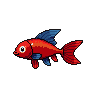 legendarycatch 3065 fairy wrasse