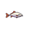 legendarycatch 3066 white sucker