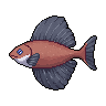 legendarycatch 3081 sunfish