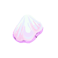 gem opal raw