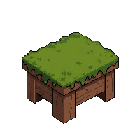 wooden chair  moss covered ancient