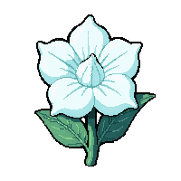 white flower  frost covered
