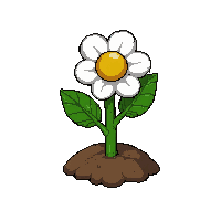 white flower  tiny seedling sprouting
