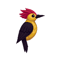 nature woodpecker tree bird pecking 020 v2 2026 03 25T19 14 54