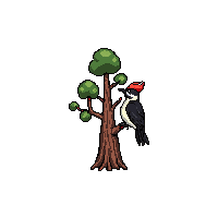 nature woodpecker tree bird pecking 060 v6 2026 03 25T19 14 54
