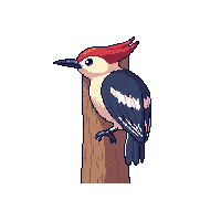 nature woodpecker tree bird pecking 070 v7 2026 03 25T19 14 54