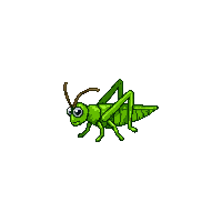 nature grasshopper jumping insect green 066 v7 2026 03 25T19 14 54