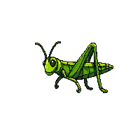 nature grasshopper jumping insect green 096 v10 2026 03 25T19 14 54