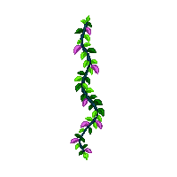 nature vine climbing growing plant 050 v5 2026 03 25T19 14 54