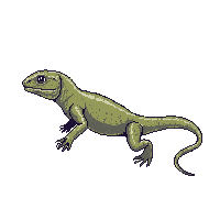 nature lizard iguana tropical reptile 063 v7 2026 03 25T19 14 54