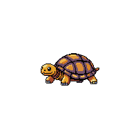 nature turtle shell slow reptile 085 v9 2026 03 25T19 14 54