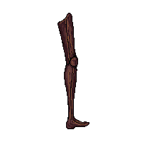 nautic peg leg wooden leg 108 v8 2026 03 30T00 37 17