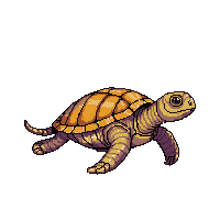 ocean sea turtle shelled reptile 015 v2 2026 03 25T19 14 54