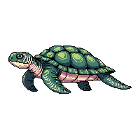 ocean sea turtle shelled reptile 035 v4 2026 03 25T19 14 54