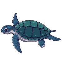 ocean sea turtle shelled reptile 075 v8 2026 03 25T19 14 54
