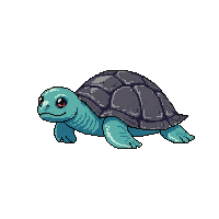 ocean sea turtle shelled reptile 085 v9 2026 03 25T19 14 54