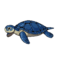 ocean sea turtle shelled reptile 095 v10 2026 03 25T19 14 54