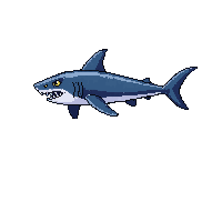 ocean shark predator ocean hunter 001 2026 03 25T19 14 54