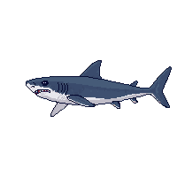 ocean shark predator ocean hunter 081 v9 2026 03 25T19 14 54