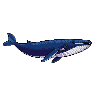ocean whale large massive mammal 006 2026 03 25T19 14 54