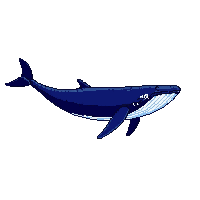 ocean whale large massive mammal 056 v6 2026 03 25T19 14 54
