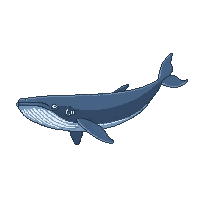 ocean whale large massive mammal 066 v7 2026 03 25T19 14 54