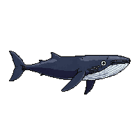 ocean whale large massive mammal 096 v10 2026 03 25T19 14 54