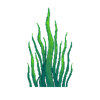 ocean seaweed kelp ocean plant 012 v2 2026 03 25T19 14 54