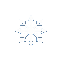 partic snowflake crystal ice particle 003 2026 03 30T00 37 17