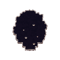 void hole