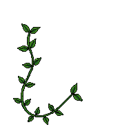 vine climbing