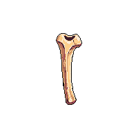 rpg bone animal bone crafting 067 v2 2026 03 03T17 02 45