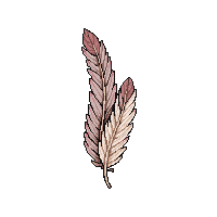 rpg feathers bird feather bundle 066 v2 2026 03 03T17 02 45