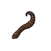 horn tipped barbarian  cursed dark