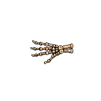 rpg skeleton hand bony reaching 213 v5 2026 03 03T17 02 45