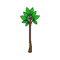 rpg nature staff living wood 207 v5 2026 03 03T17 02 45